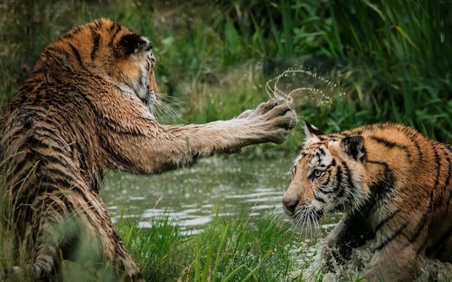 CI/CD in the Age of Supply Chain Attacks: How to Secure Every Commit
