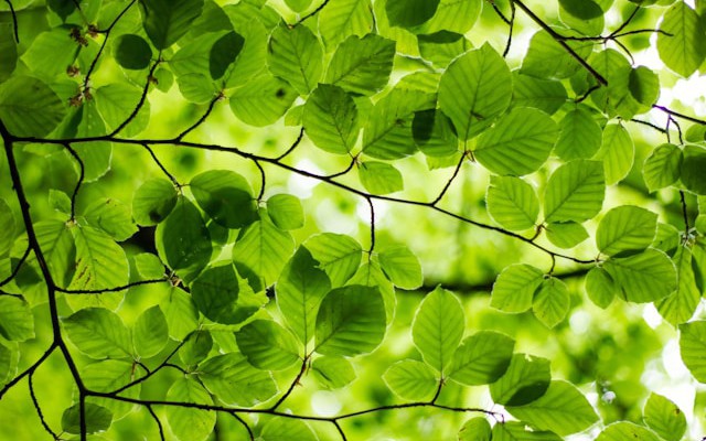 Spring Boot WebSocket: Building a Multichannel Chat in Java