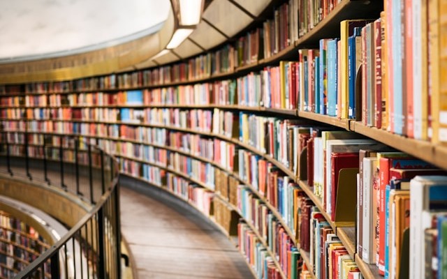 Senior Developers, What to Read Next?
