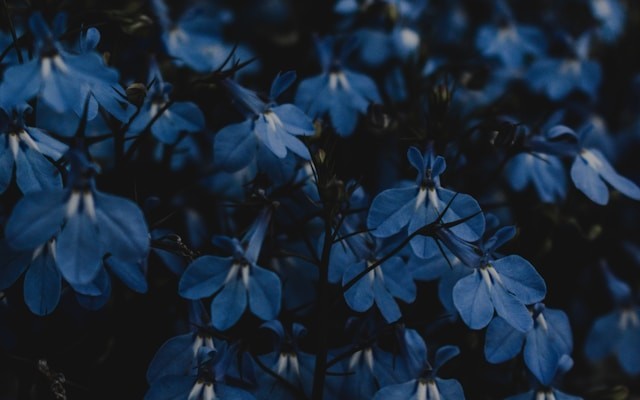 Should You Use Azure Data Factory?