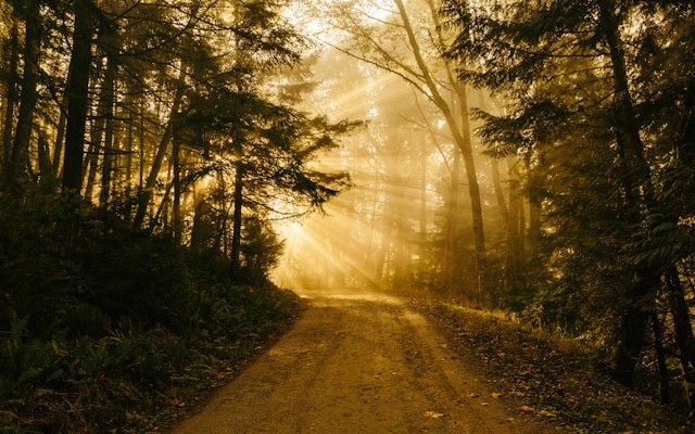 Django Architecture vs FastAPI: A Learning Path