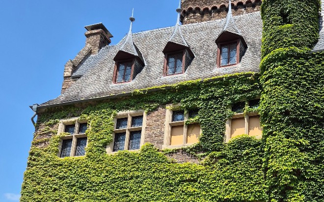 How to Build an MCP Server and Client With Spring AI MCP