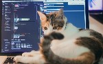 article thumbnail
