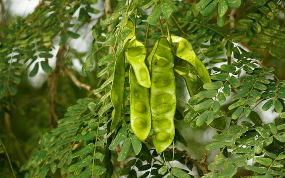 Kubernetes Debugging Recipe: Practical Steps to Diagnose Pods Like a Pro