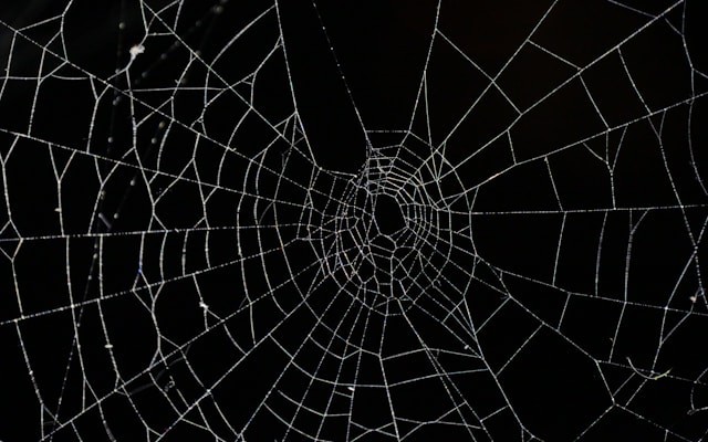 Build a Dynamic Web Form Using Camunda BPMN and DMN