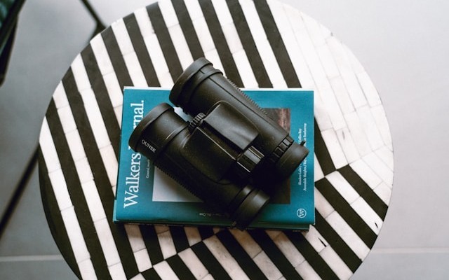 What Is Agent Observability? Key Lessons Learned