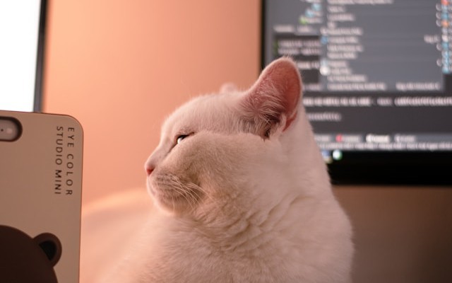 AI Code Generation: The Productivity Paradox in Software Development