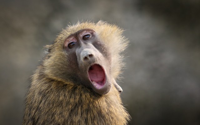 Production-Grade React Project Structure: From Setup to Scale