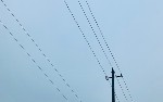 article thumbnail