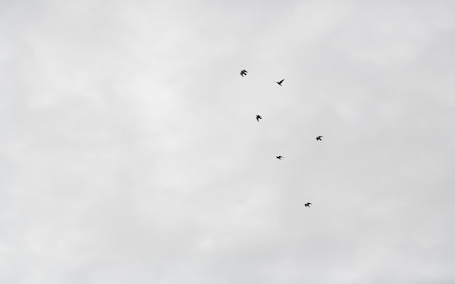 AI-Powered Data Integrity for ECC to S/4HANA Migrations