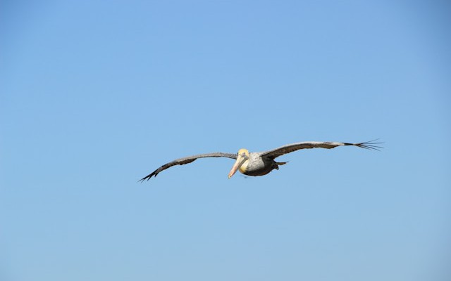 A Guide for Deploying .NET 10 Applications Using Docker's New Workflow