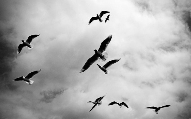 Momento Migrates Object Cache as a Service to Ampere® Altra®