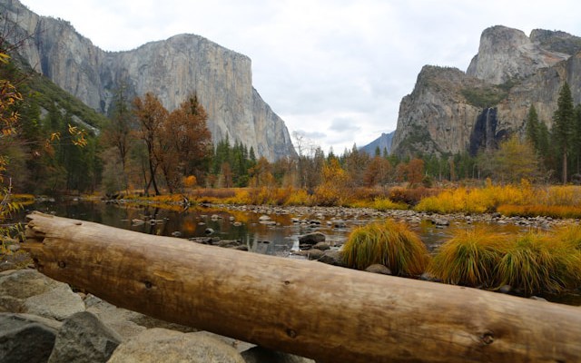 Secure Log Tokenization Using Aho–Corasick and Spring