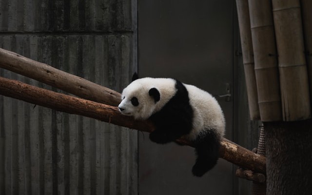 Parallel S3 Writes for Massive Sparse DataFrames: How to Maintain Row Order Without Blowing Memory