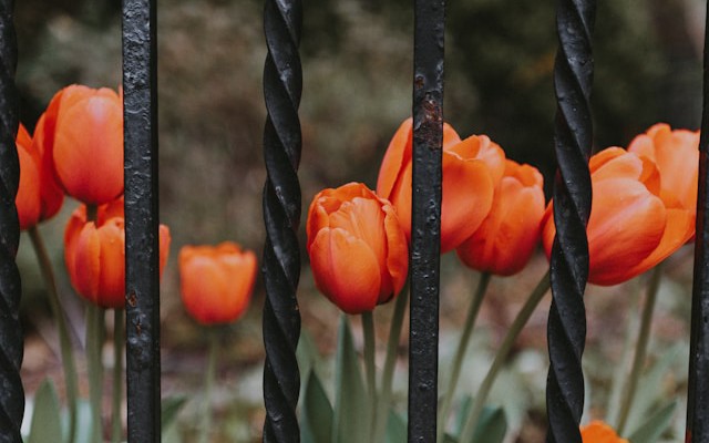 How to Secure a Spring AI MCP Server with an API Key via Spring Security