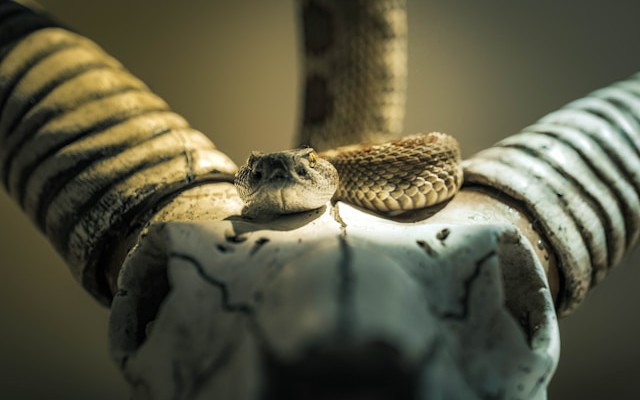 Backing Up Azure Infrastructure with Python and Aztfexport