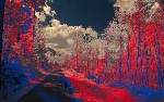 article thumbnail