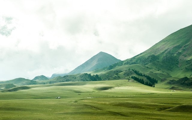 When Kubernetes Says 