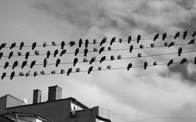 A Practical Guide to Multi-Agent Swarms and Automated Evaluation for Content Analysis