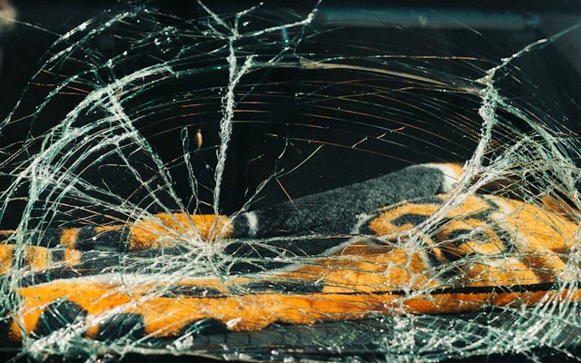 When AI Crashes: Classifying Failure Modes in Safety-Critical Software