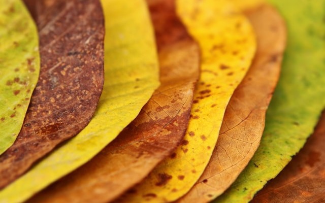 The ORM Is Over: AI-Written SQL Is the New Data Access Layer