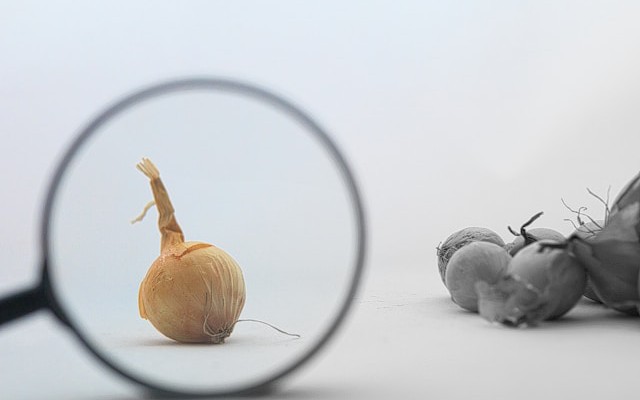 Quality Assurance in AI-Driven Business Evolution