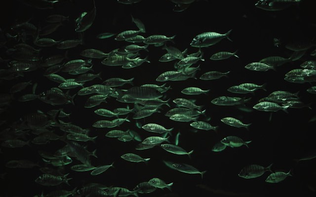 How We Diagnosed a Hidden Scheduler Failure in a Docker Swarm Cluster Serving 2 Million Users