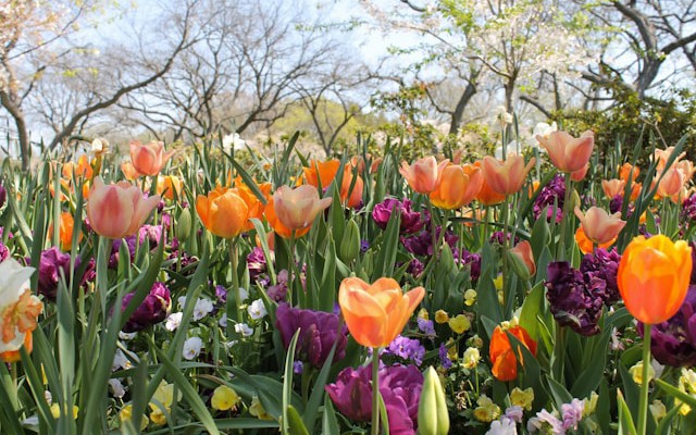 Spring CRUD Generator v1.1.0 Updates