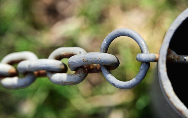 One Query, Four GPUs: Tracing a Distributed Training Stall Across Nodes