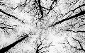 related article thumbnail