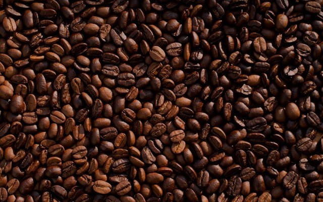 Jakarta EE 12: Entering the Data Age of Enterprise Java