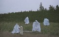 related article thumbnail