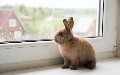 related article thumbnail