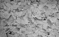 related article thumbnail