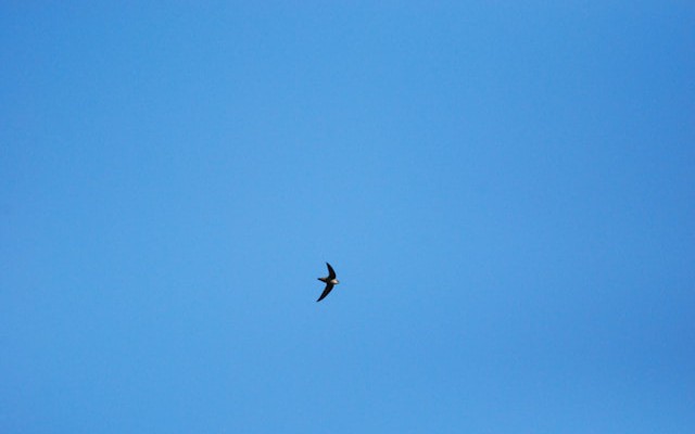 How to Break Up Swift Concurrency