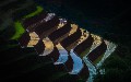 related article thumbnail