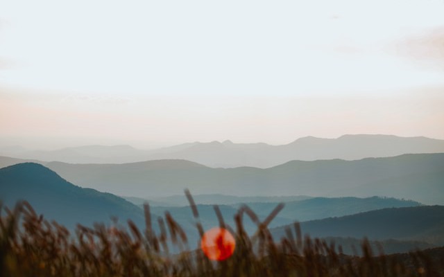 Securing AI Agents at the API Layer: 5 Controls That Actually Matter