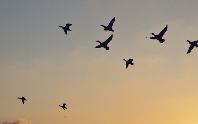 A Zero-Trust Implementation Framework for Cloud Migrations: Lessons From Enterprise Deployments