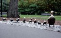 related article thumbnail
