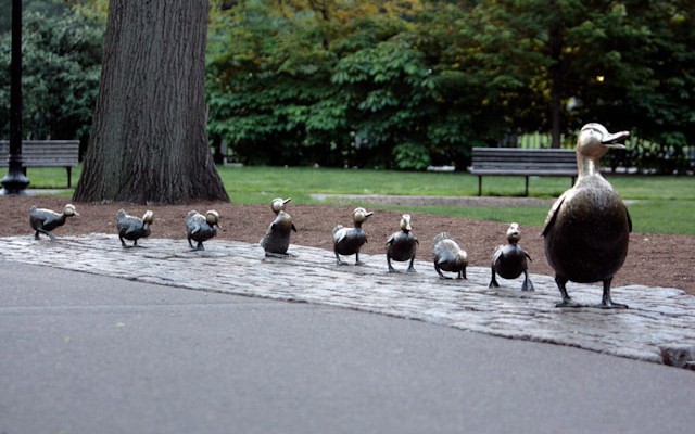 You Don’t Need To Be a Manager To Lead: Why Leadership Matters for Software Engineers