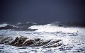 related article thumbnail