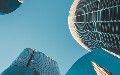 related article thumbnail