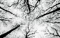related article thumbnail