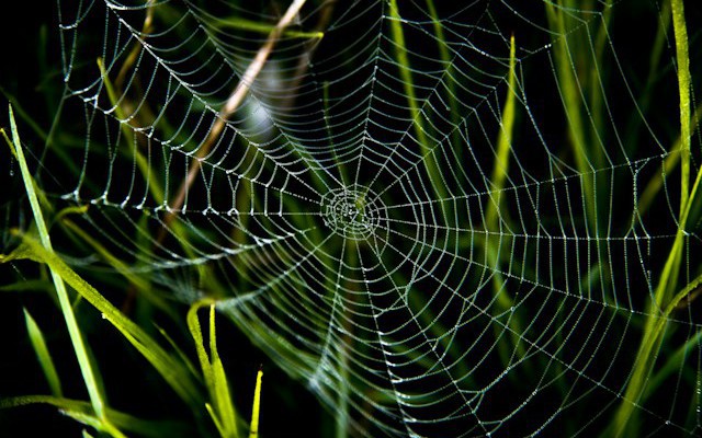 Three Hidden Traps That Shape Software Engineering Decisions