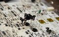 related article thumbnail
