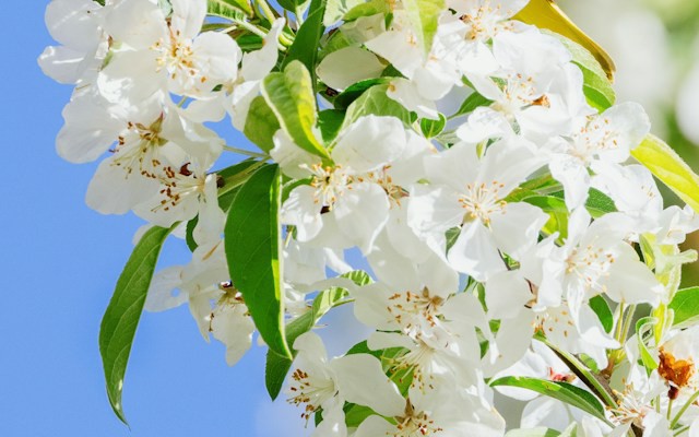 Kafka With Spring Boot: Introduction