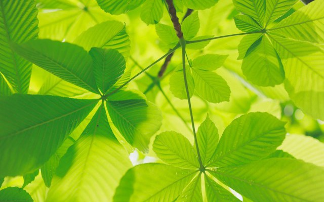 You Don't Have to Pick One: A Hybrid Approach to Enterprise Data Refresh