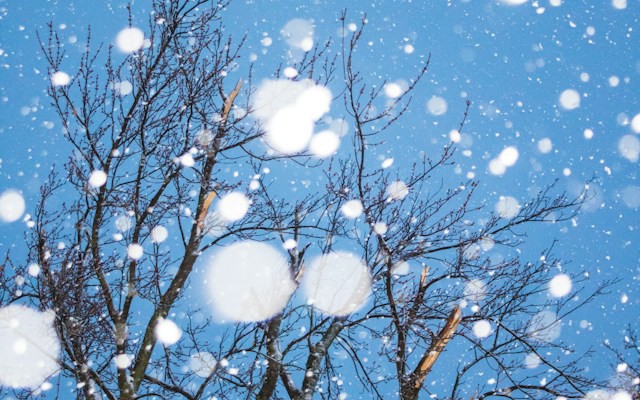 Delta Lake UniForm to Snowflake: Cross-Platform Table Access Without a Second Copy