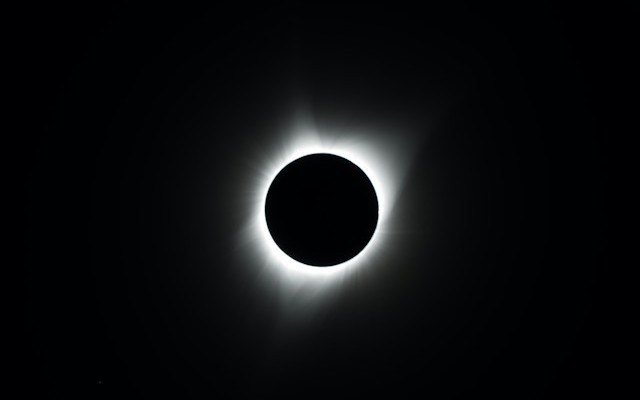 ScyllaDB in Enterprise Java: High-Performance NoSQL With Eclipse JNoSQL
