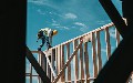 related article thumbnail